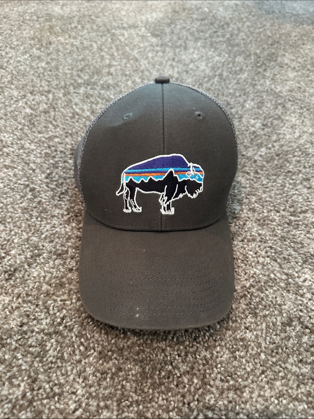 Patagonia Black Trucker Hat with Multicolor Embroidered Patch